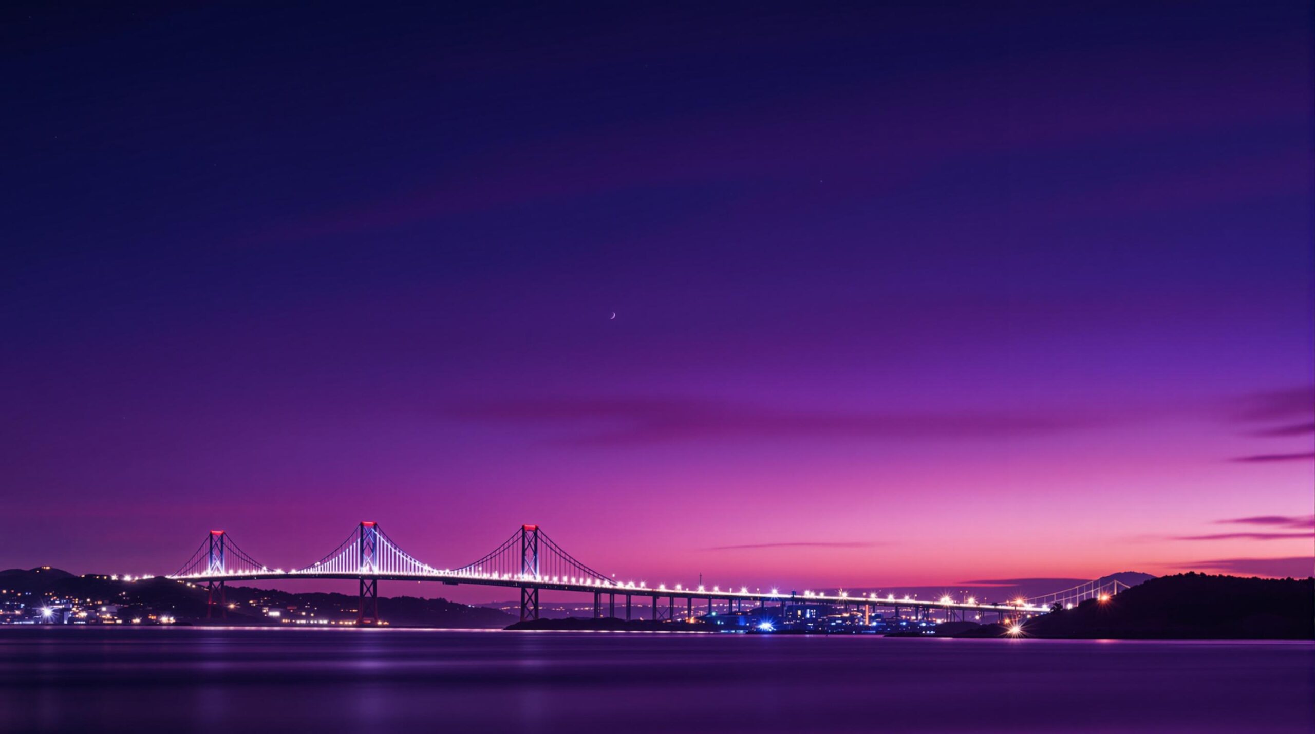 Bay Area SEO agency scaled