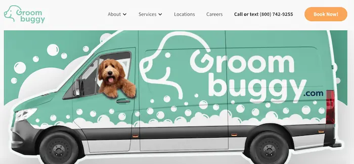 5 Website Design Elements That Convert Visitors to Leads: Real Examples from Small Businesses 7 groom buggy